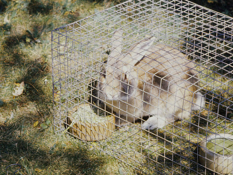 Photos 201 400 Monaghan 2008 12 09jpg  260